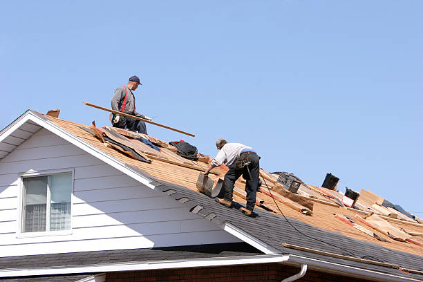 Best Roof Insulation Installation  in Ste Genevieve, MO